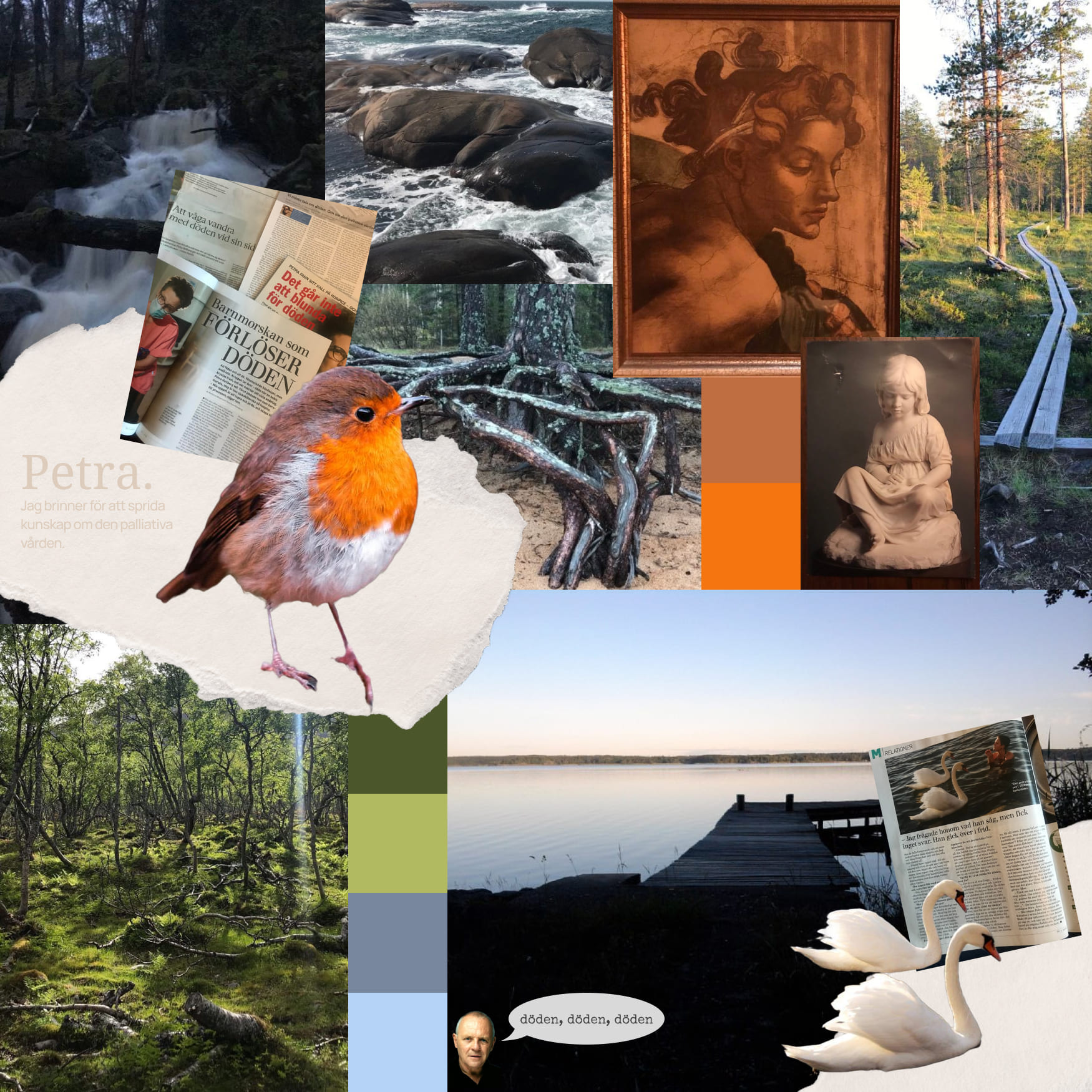 A moodboard collage showing images of nature, art, a robin, and swans.